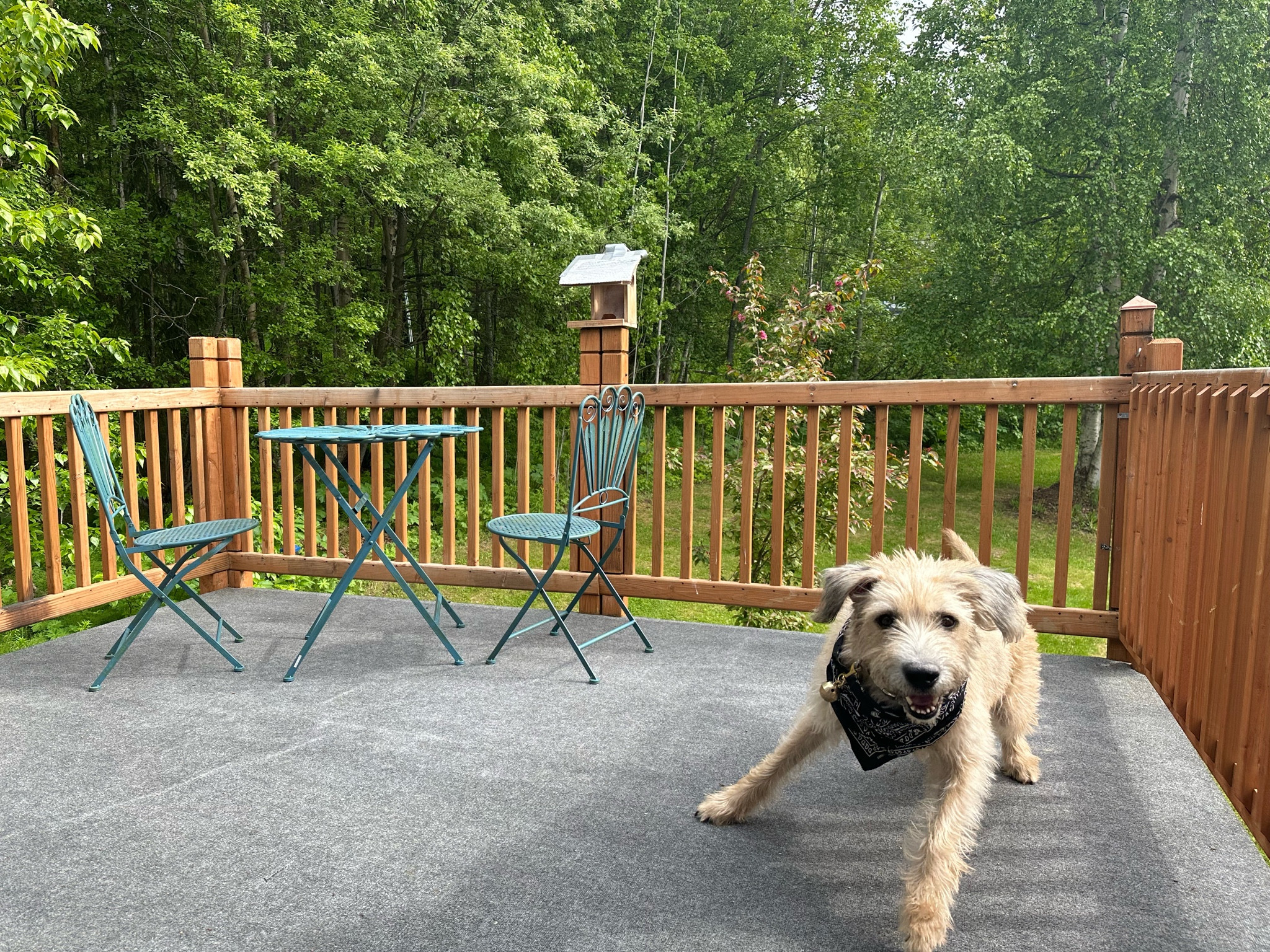 Our new little bistro set for the Airbnb! 

#LTKFind #LTKhome #LTKSeasonal
