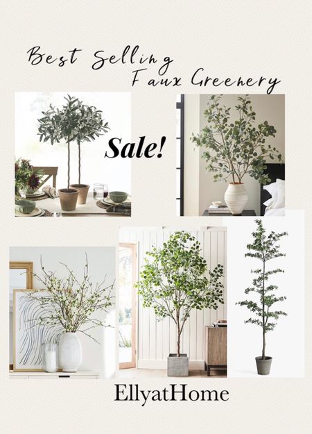 Best selling faux greenery, potted plants, trees, stems on sale at Pottery Barn. Olive trees, eucalyptus stems. Home decor accessories. Classic, modern traditional, modern organic, transitional home style. 4th of July sales, free shipping. Sales alerts. 


#LTKunder100 #LTKsalealert #LTKhome