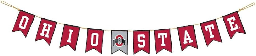 Ohio State University Tailgate Party Banner by Hanna's Handiworks | For School Parties, Graduatio... | Amazon (US)