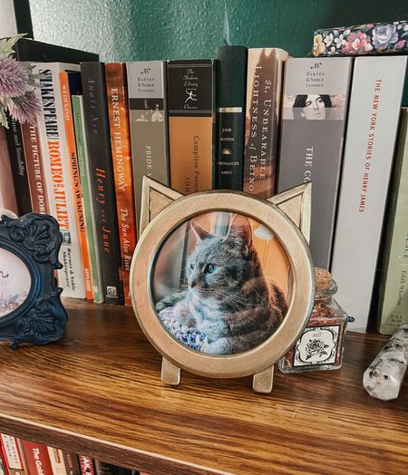 Office home decor inspiration for the cat lover 😻🐾🖼️ Cute and cozy home library vibes, with one of my favorite cat themed frames, available in a number of colors!

#LTKunder50 #LTKhome #LTKfamily