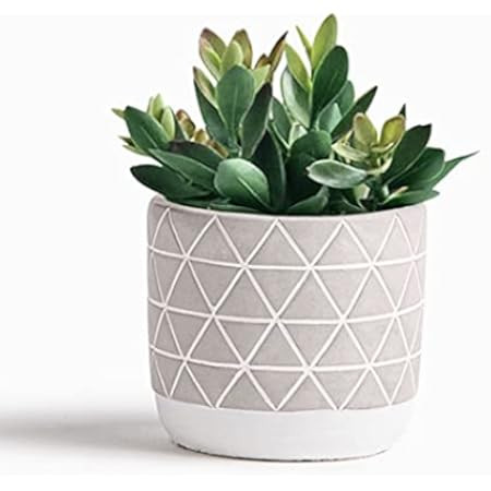 Desk Plant 8 Inch Artificial Plants in Pot, Realistic Faux Plant Decor, Fake Potted Plants for Bedro | Amazon (US)