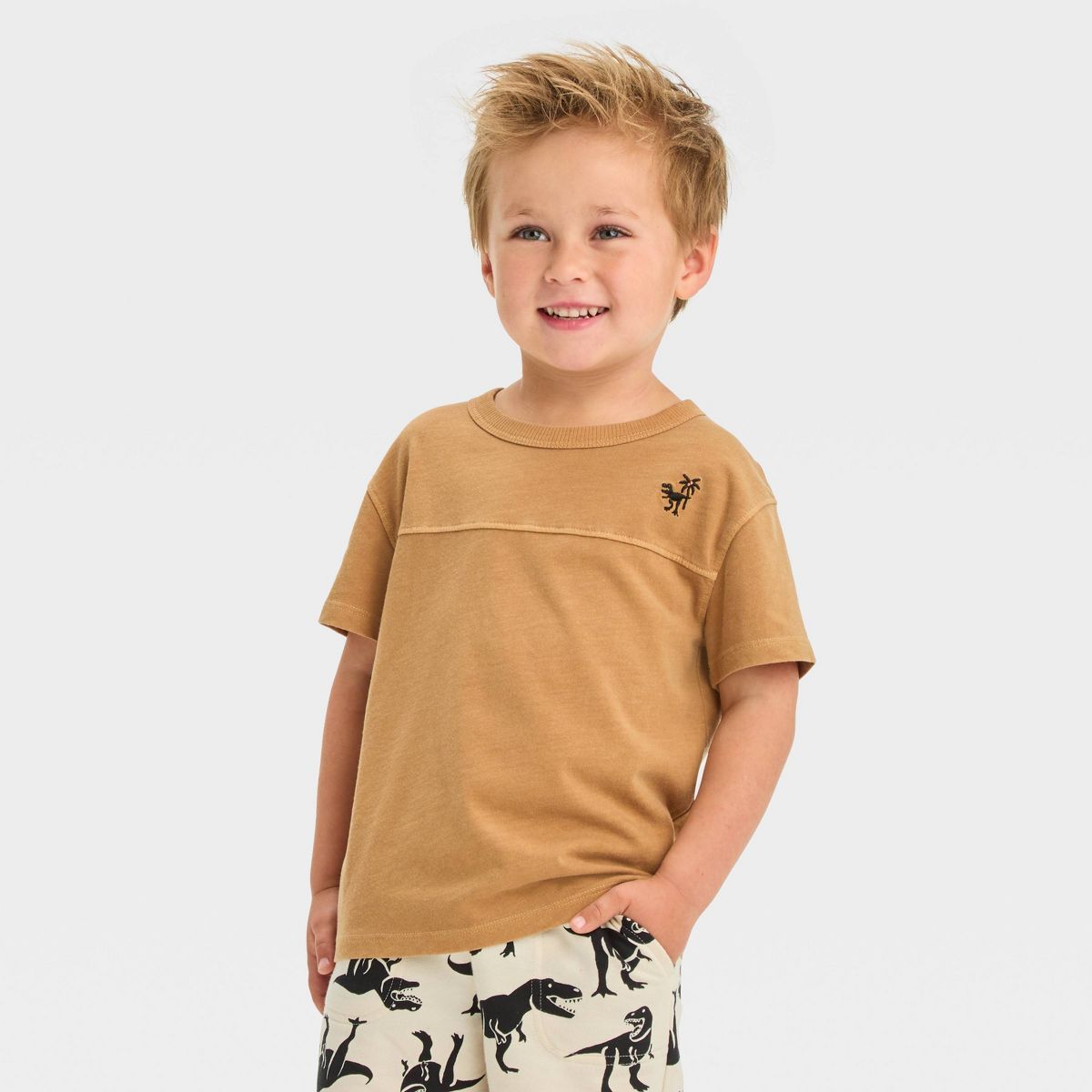 Toddler Boys' Short Sleeve Dino T-Shirt - Cat & Jack™ Beige | Target
