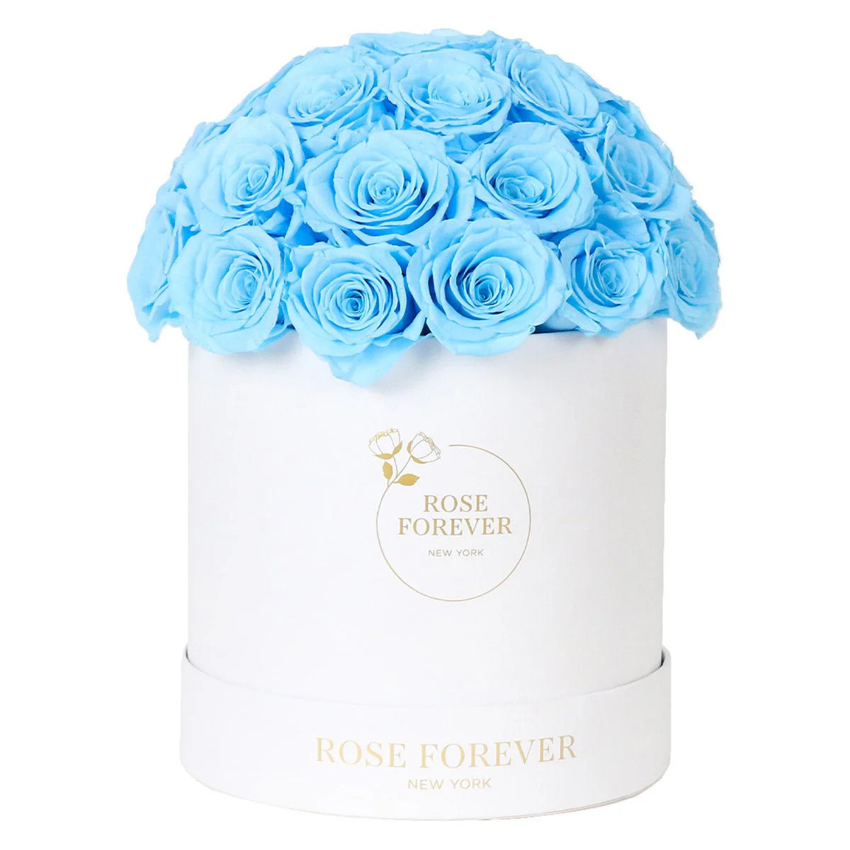 35 Baby Blue Roses - Dome Arrangement in a White Hat Box | Rose Forever 