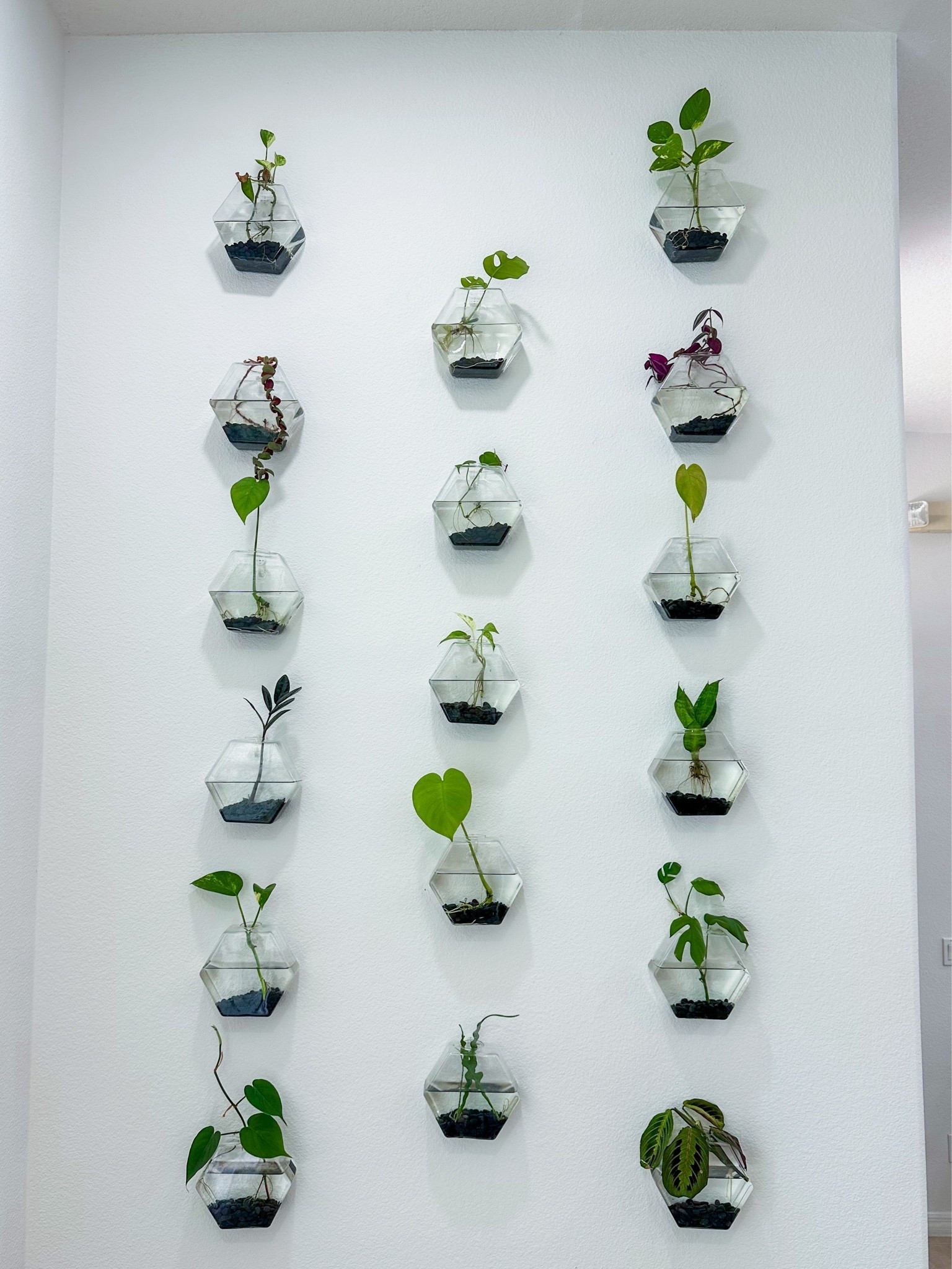 Propagation wall 

#LTKFindsUnder100 #LTKFindsUnder50 #LTKHome