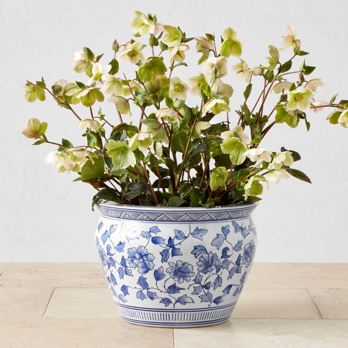 Blue & White Ceramic Planter, Large | Williams-Sonoma