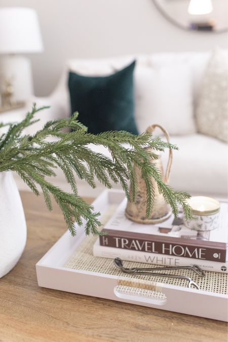 Coffee table book finds for your home! These are beautiful to decorate in your home and add the texture you’ll love! 

#LTKfindsunder100 #LTKhome #LTKGiftGuide