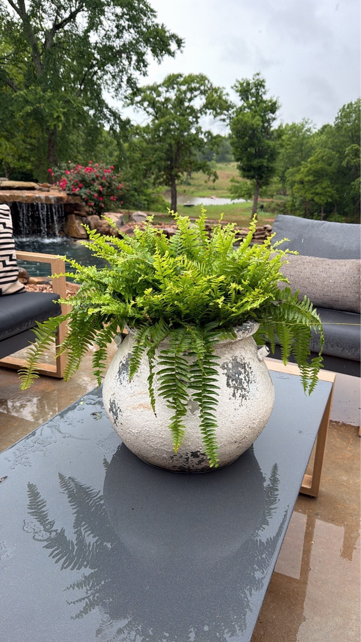 Love this pot and it’s on sale! I love it so much that I ordered another one!

#LTKSaleAlert #LTKHome