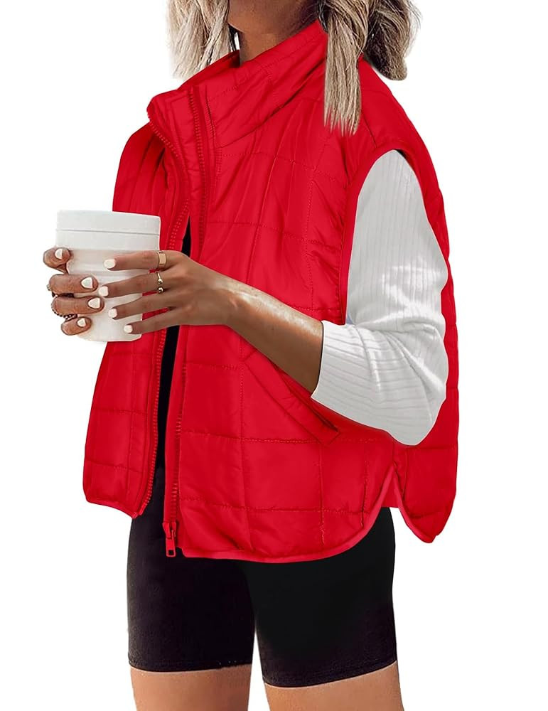 Zeagoo Womens Puffer Vest Ladies Sleeveless Zip Up Outerwear Warm Puffer Lightweight Down all Win... | Amazon (US)