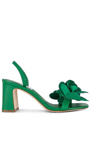 Farrie Sandal in Green Suede | Revolve Clothing (Global)