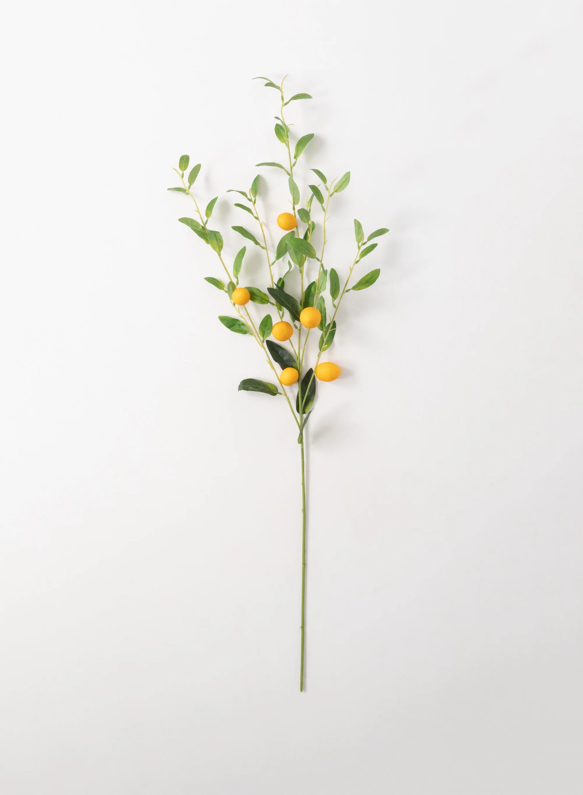 Primrue Lemon Arrangement | Wayfair | Wayfair North America