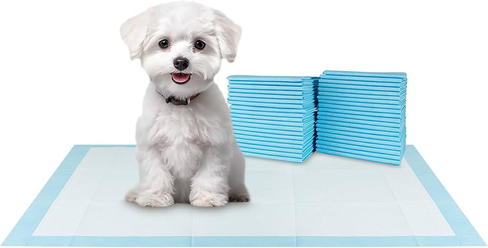 BV Small Puppy Pads Leak-Proof 17"x24" [100CT] | Pee Pads for Dogs Ultra Absorbent 6-Layer - Dog ... | Amazon (US)