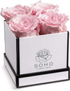 Click for more info about Soho Floral Arts | Roses in A Box | Real Roses Last A Year or More (White Square 4ct, Pink) | Mot...