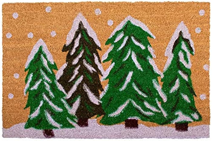 Calloway Mills 122252436 Winter Wonderland Doormat, 24" x 36", Multicolor | Amazon (US)