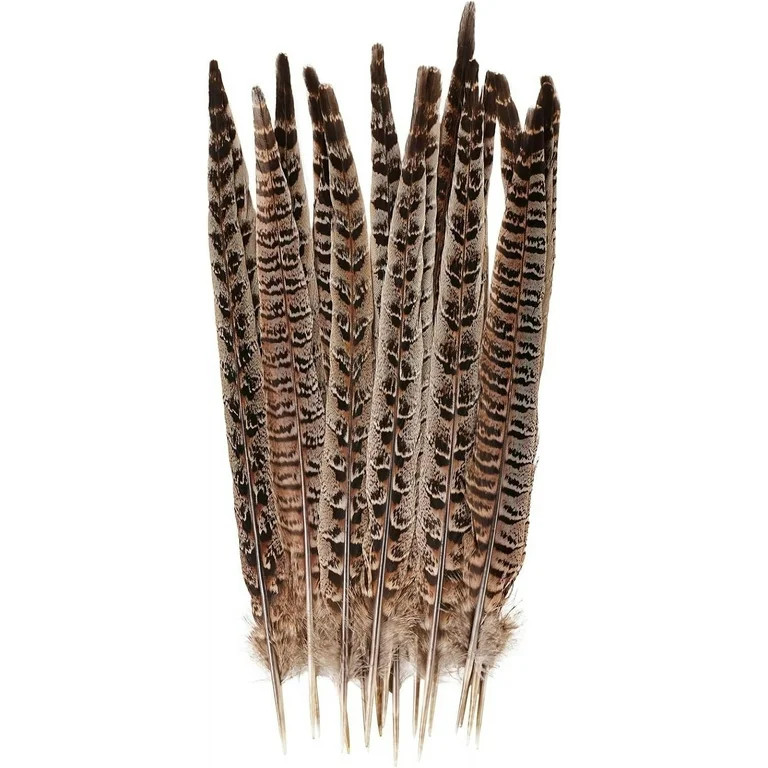 Natural Pheasant Tail Feathers 12-14 Inches for DIY Crafts, Wedding Decor, and Costume Accessorie... | Walmart (US)