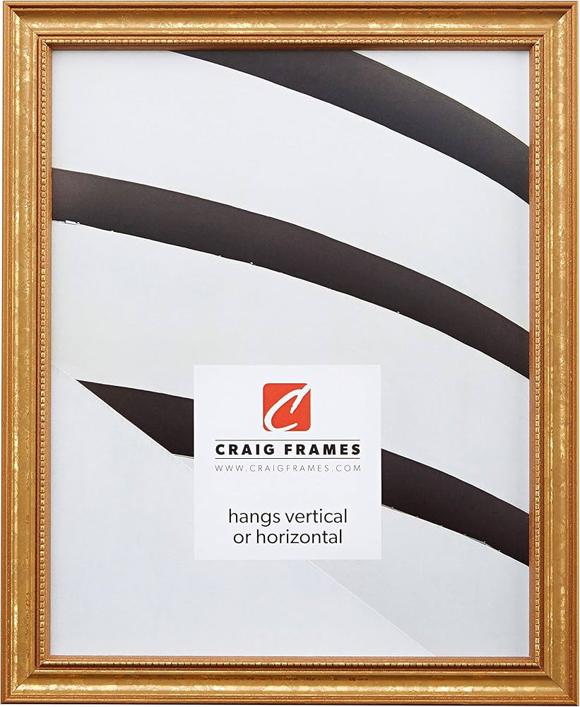 Craig Frames 314GD, Ornate Gold Picture Frame, 20 x 24 Inch | Amazon (US)