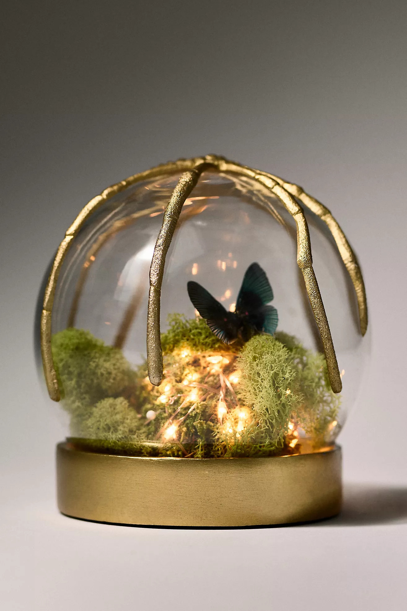 Spider Cloche Terrarium | Anthropologie (US)