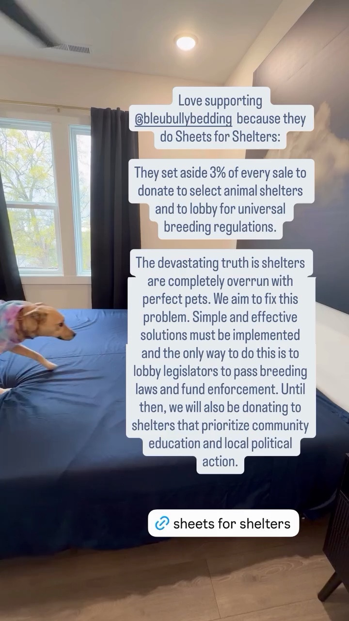 Love supporting @bleubullybedding  because they do Sheets for Shelters:

They set aside 3% of every sale to donate to select animal shelters and to lobby for universal breeding regulations.

The devastating truth is shelters are completely overrun with perfect pets. We aim to fix this problem. Simple and effective solutions must be implemented and the only way to do this is to lobby legislators to pass breeding laws and fund enforcement. Until then, we will also be donating to shelters that prioritize community education and local political action.