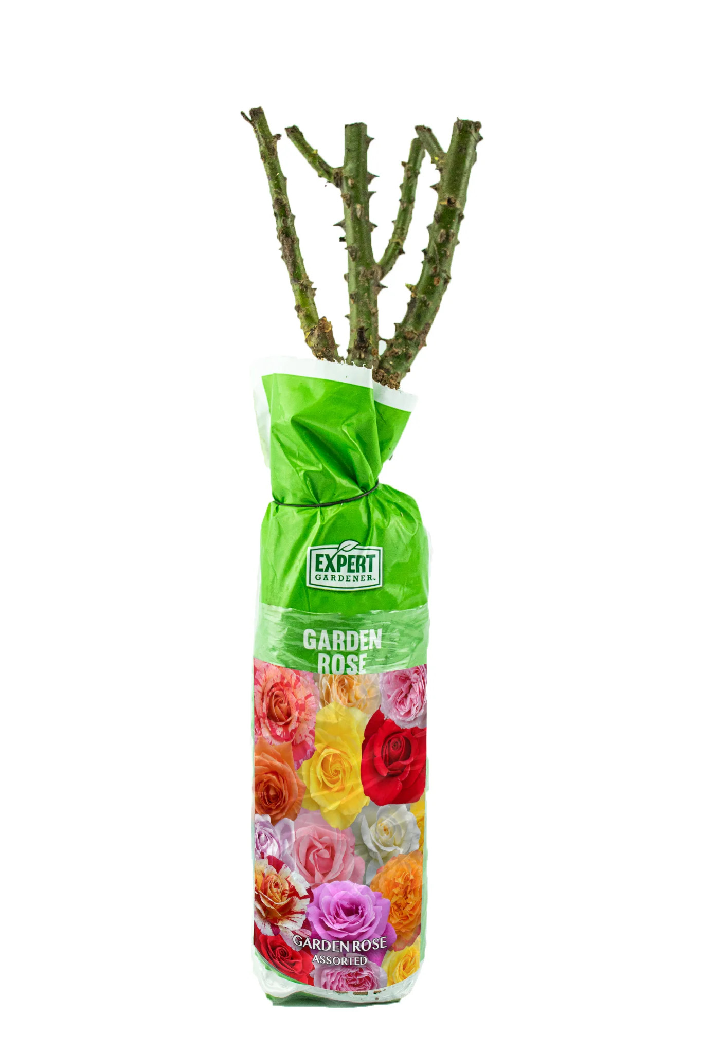 Expert Gardener Dormant Packaged Garden Rose Live Shrub (1-Each) | Walmart (US)