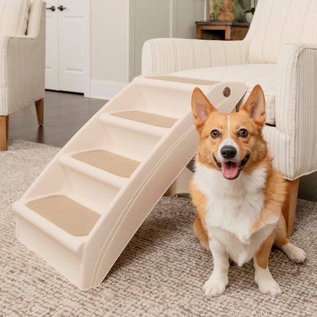 PETSAFE CozyUp Foldable Cat & Dog Stairs, Large, Tan - Chewy.com | Chewy.com