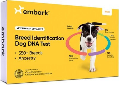 Embark Breed Identification DNA Test for Dogs | Chewy.com