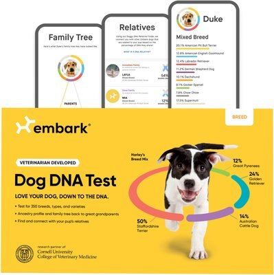 Embark Breed Identification DNA Test for Dogs | Chewy.com