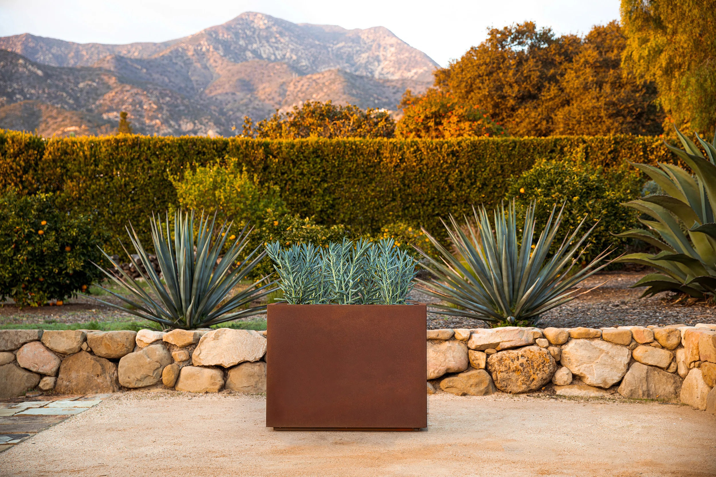 Corten Steel Series Span Planter | Birch Lane