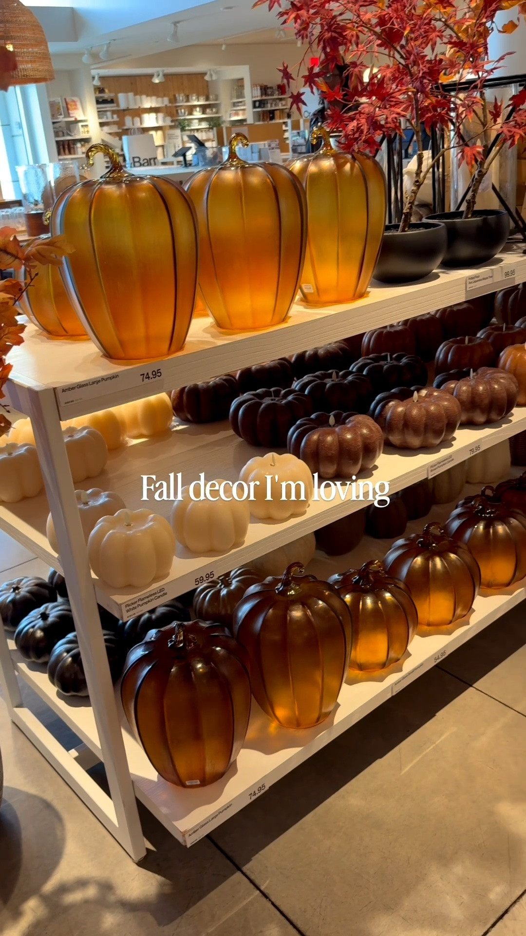Fall decor I'm shopping