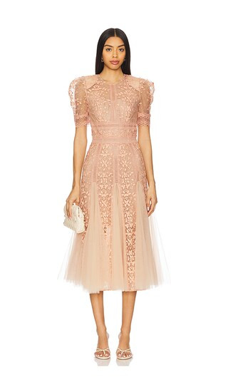 Megan Midi Dress in Beige | Revolve Clothing (Global)