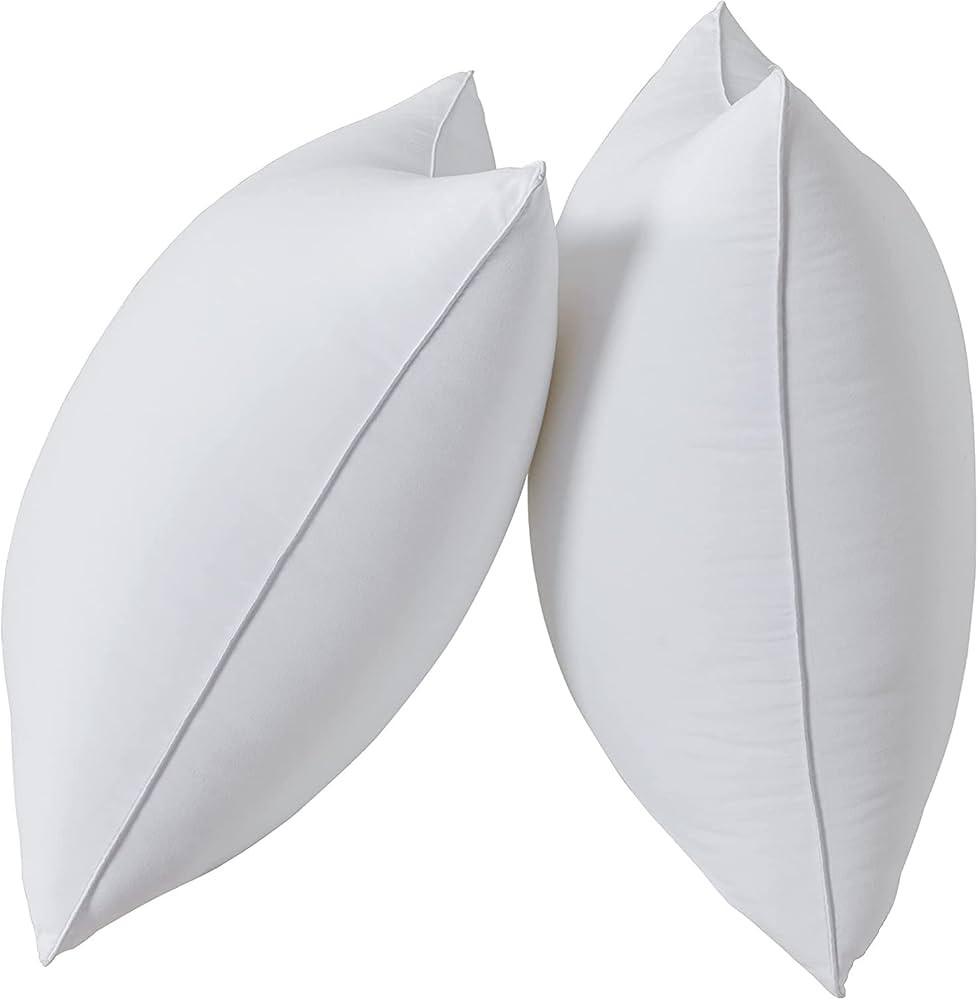 Qeils 20 x 20 Pillow Inserts Set of 2 White Throw Pillow Inserts with Soft Polyester Cover - Rect... | Amazon (US)