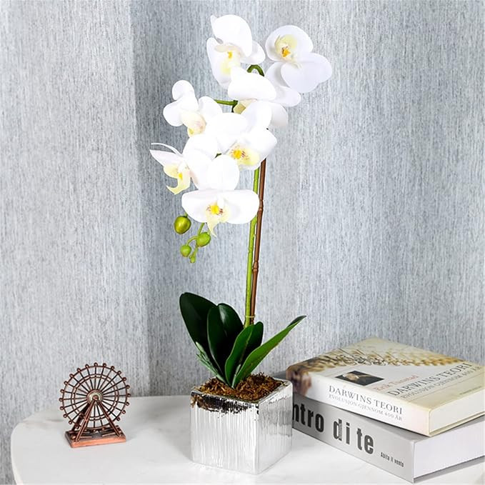 YSZL Artificial Real Touch Phalaenopsis Orchid Flowers Arrangement in Silver Ceramic Pot for Home... | Amazon (US)