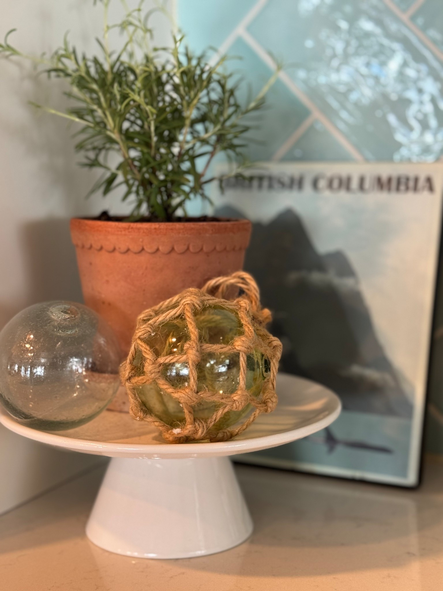 Missing the Christmas greenery?  Transition to cozy cottage winter decor  Growing rosemary in my Bergs plant pot just seems to elevate the plant. And then I elevate even further by displaying it on a small white cake plate. 😂 Adding the fishing floats gives everything a bit of sparkle because we can all benefit from that in winter! ✨ 