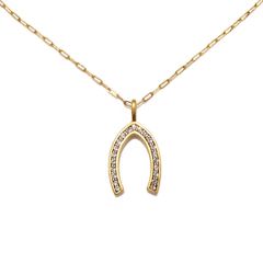Lucky Wishbone Talisman Necklace | Sequin