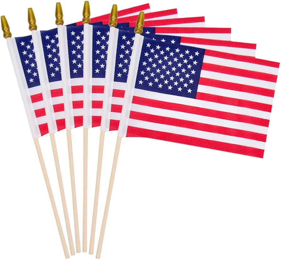 6 Pcs 4 x 6 Inch Small American Flags on Stick, Mini Handheld USA Flags with Kid-Safe Spear Top,2... | Amazon (US)