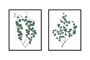 Eucalyptus Pair | Urban Garden Prints