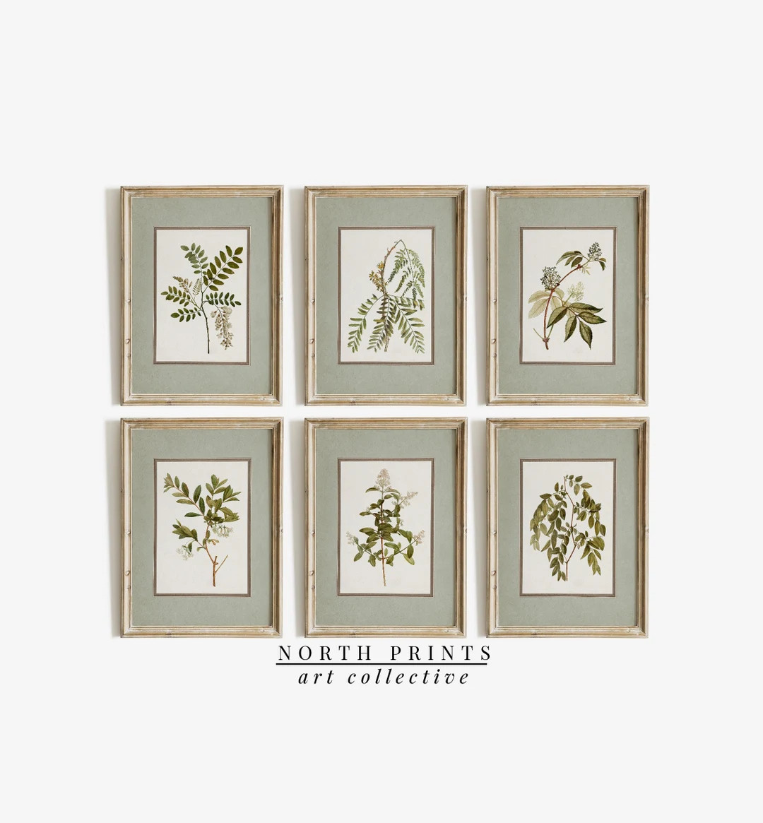 Vintage Botanical Gallery Wall Art SET of Six Country Art Prints for Dining Room Muted Sage Green... | Etsy (US)