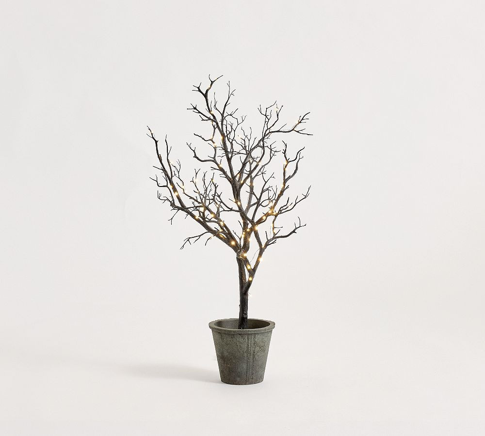 Lit Faux Black Potted Tree | Pottery Barn (US)