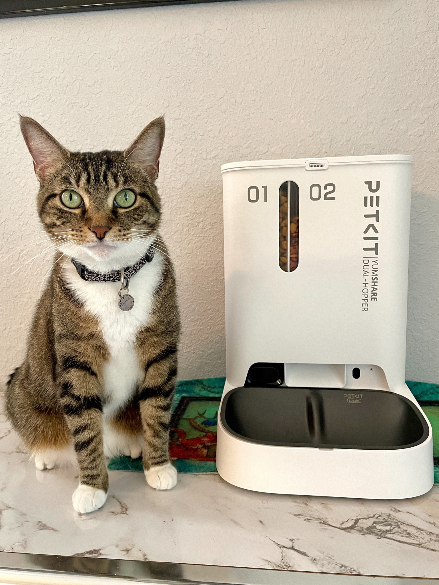 Chanel’s new automatic feeder! 😻 This one has a camera and two way voice interaction. 2 hoppers for two kibbles, definitely great if you have multi-pets. You can set a feeding schedule on the app. Currently on sale! 

pet supplies, cat supplies, automatic feeder, cat automatic feeder, amazon pets, amazon cat finds, petkit, petkit feeder, smart feeder, cat finds, home finds, pet home finds


#LTKSaleAlert #LTKHome #LTKGiftGuide