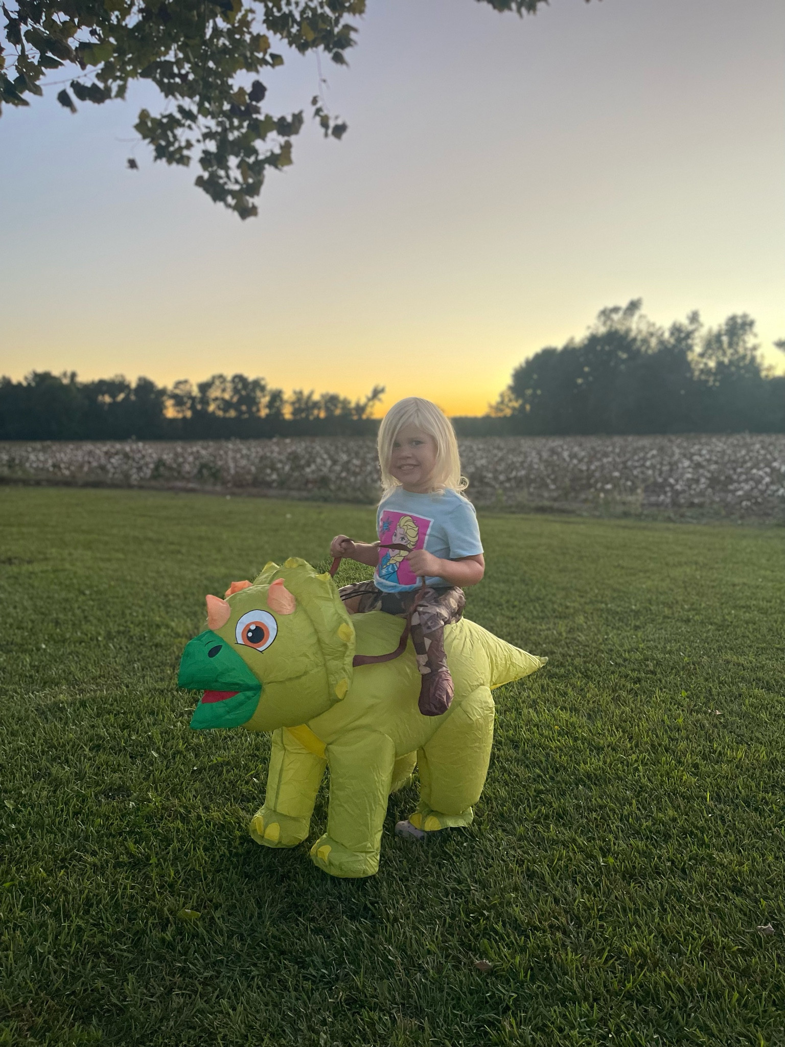 Little kid Halloween costumes 🦖🦕

#LTKKids #LTKHalloween