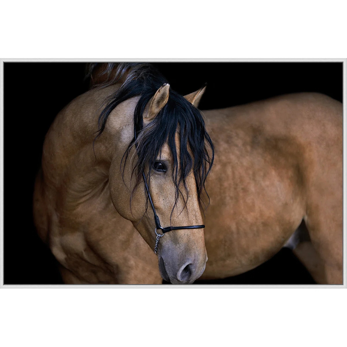 " Harkness " | Wayfair North America