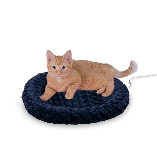 K&H Pet Products Thermo-Kitty Fashion Splash Cat Bed | Chewy.com