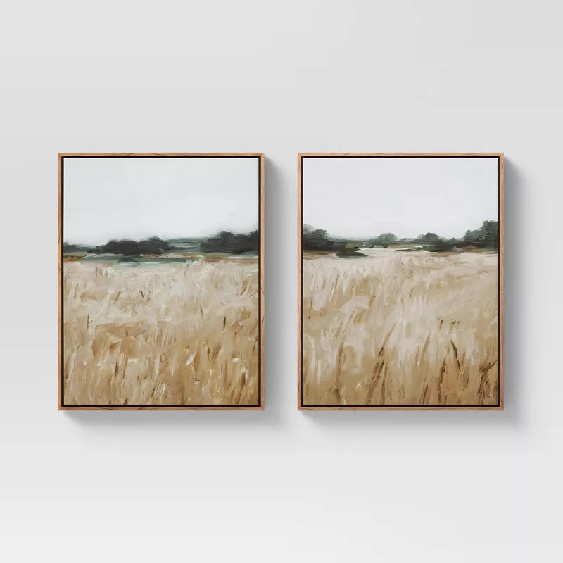 (Set of 2) 16" x 20" Grassy View Framed Canvas - Threshold™ | Target