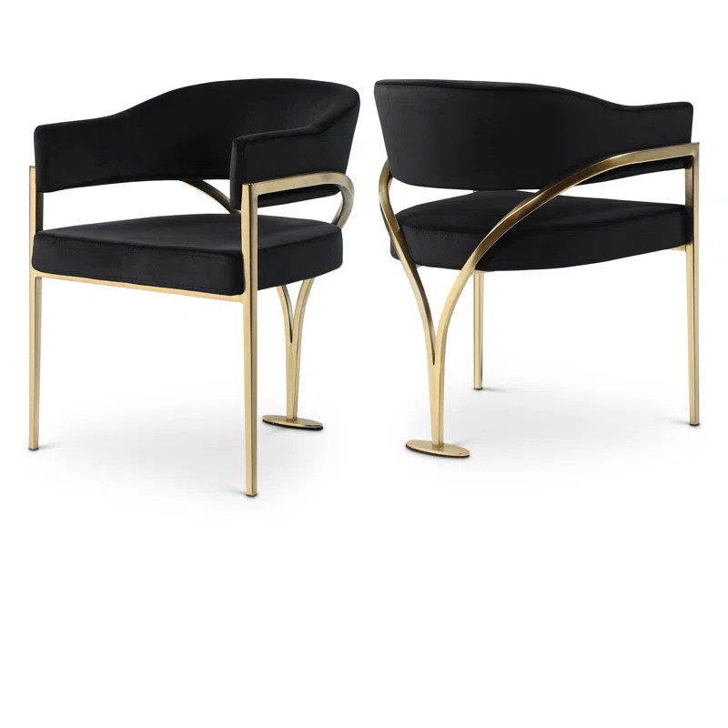 Madelyn Velvet Dining Chair (Set of 2) | Wayfair North America