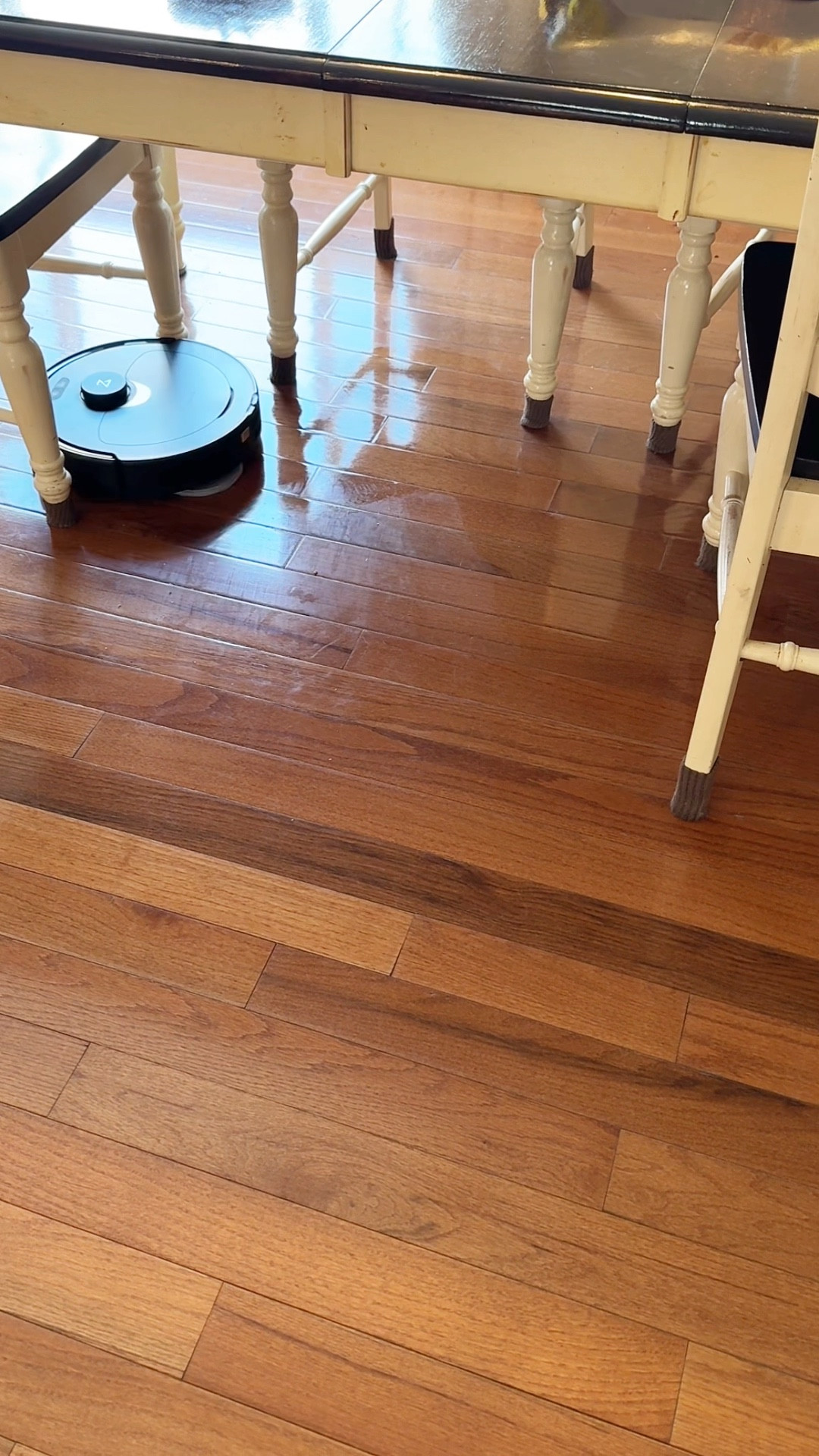 You will forget where you left your mop and broom after you get one of these robot vacuums! It saves me so much time. 
#homecleaning #cleaning 

#LTKGiftGuide #LTKHome