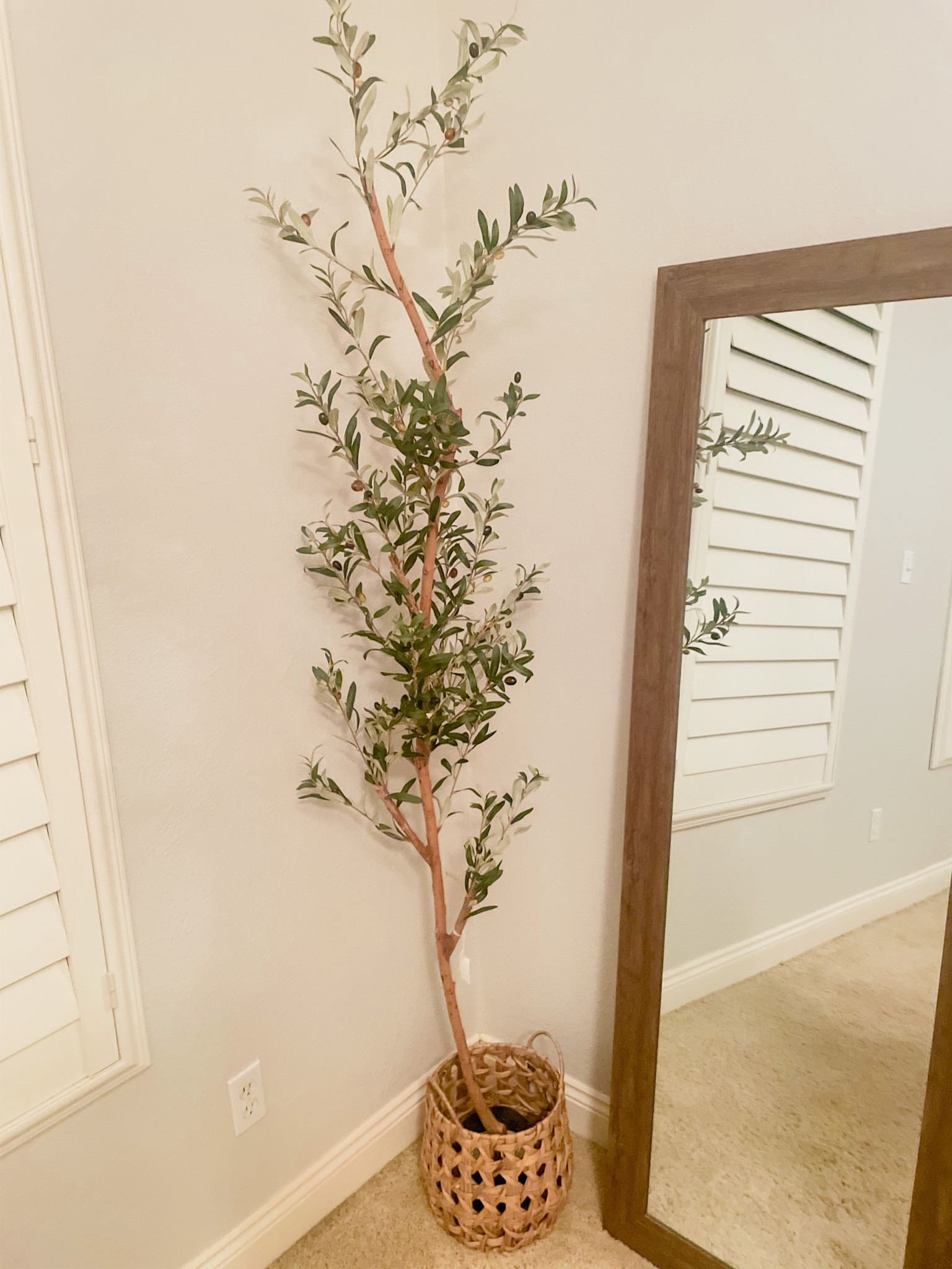 My cute little olive tree is on sale almost 40% off 🤎

#LTKunder100 #LTKhome #LTKFind