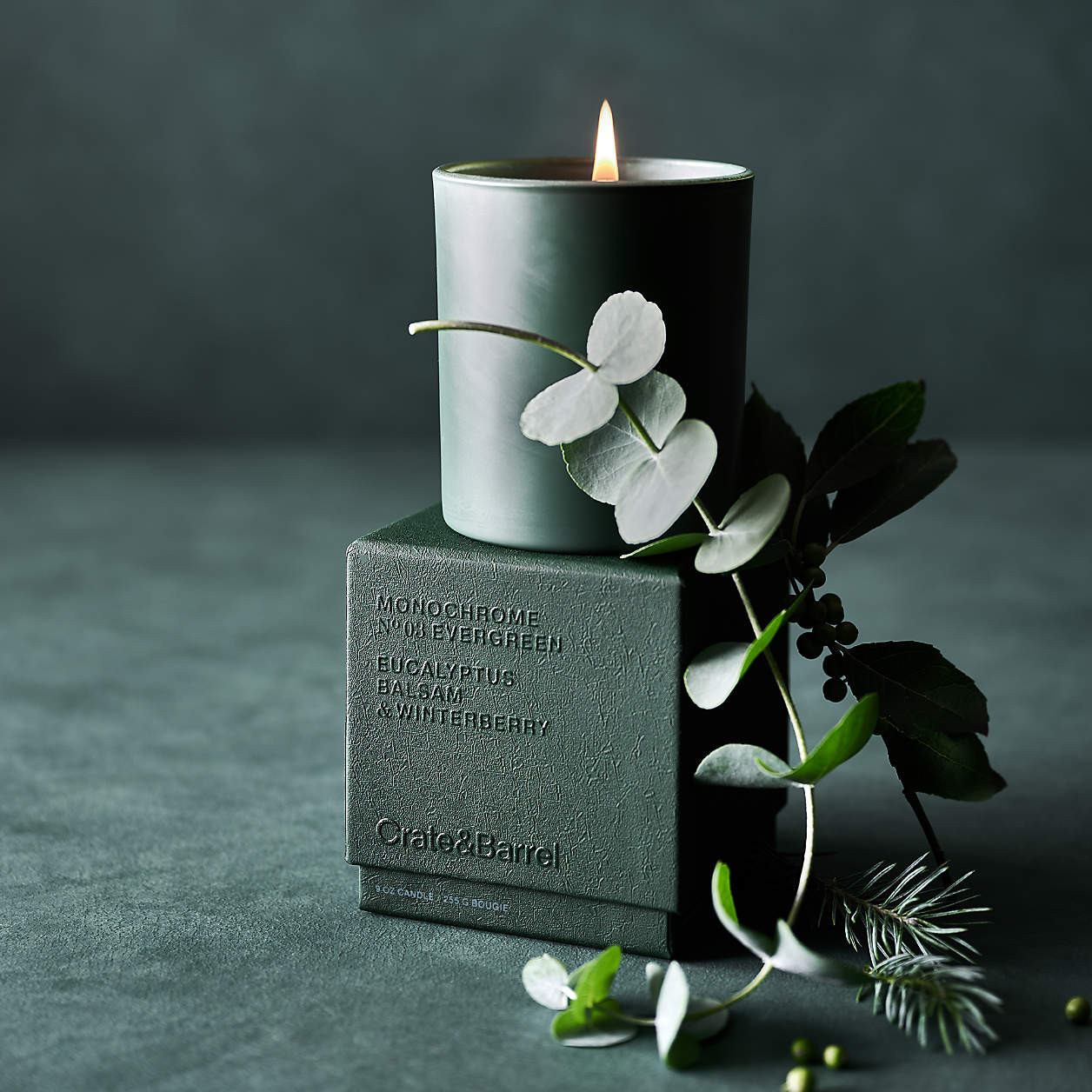 Monochrome No. 03 Evergreen 1-Wick Scented Candle - Eucalyptus, Balsam and Winterberry + Reviews ... | Crate & Barrel