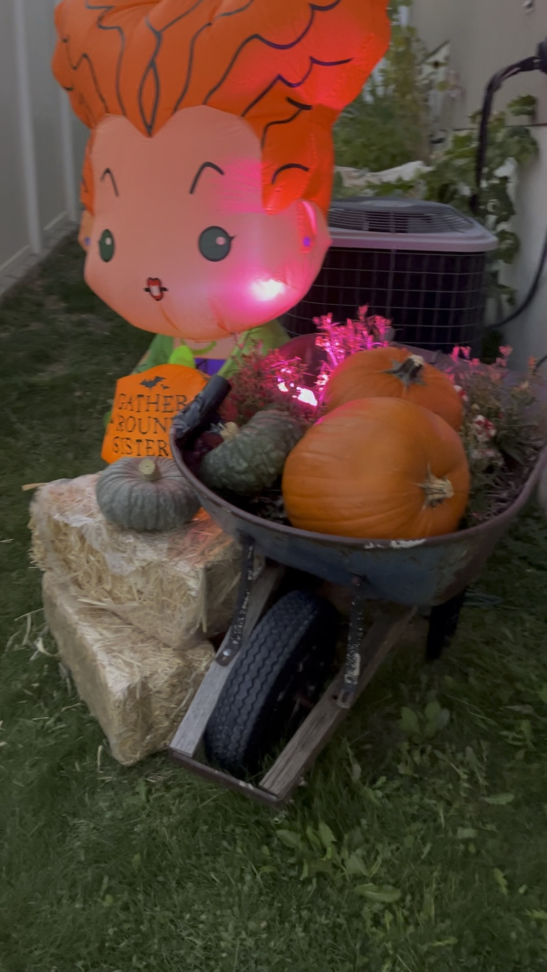 Trick or treaters will love her! 

#LTKHoliday #LTKfindsunder50 #LTKSeasonal