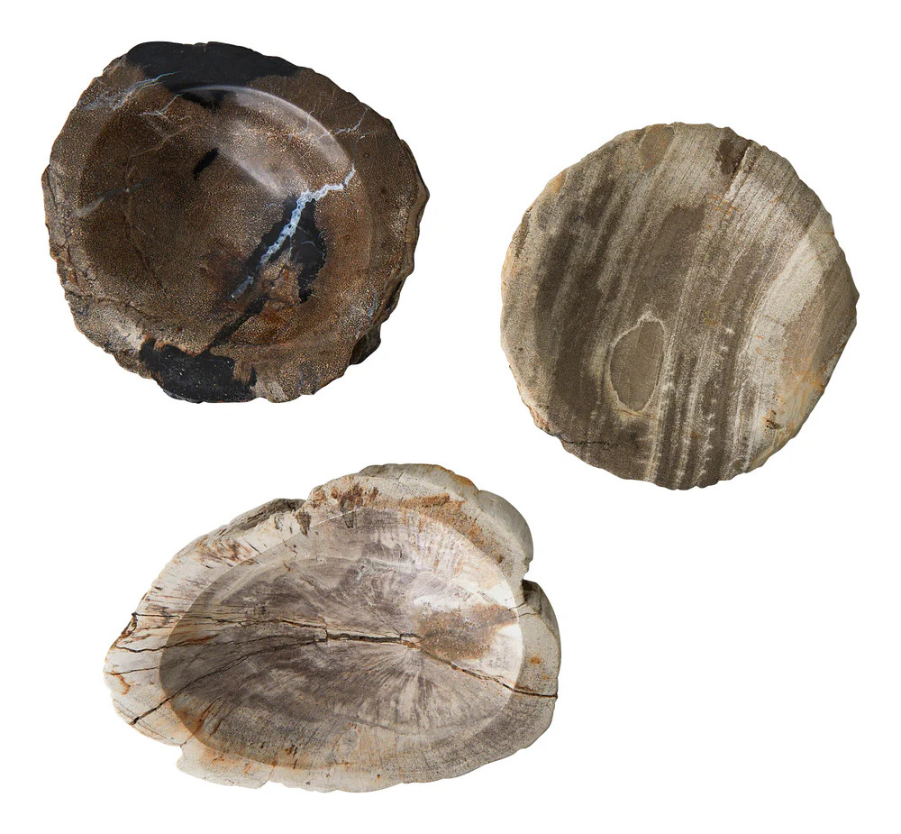 Petrified Wood Bowl | Jayson Home