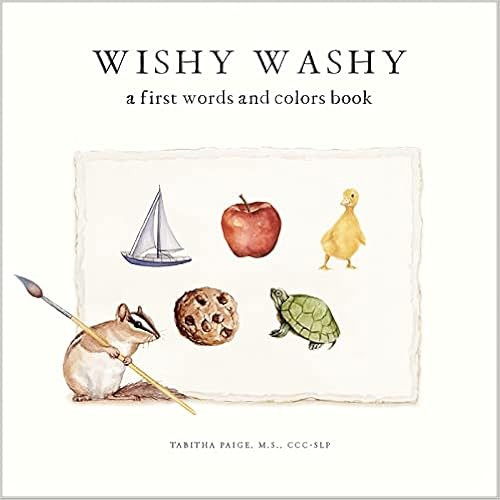 Wishy Washy: A Board Book of First Words and Colors for Growing Minds     Board book – May 24, ... | Amazon (US)