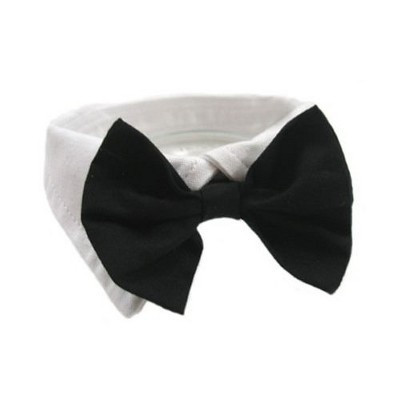 Formal Black Dog Bow Tie (Medium: Neck 13-16") | Target