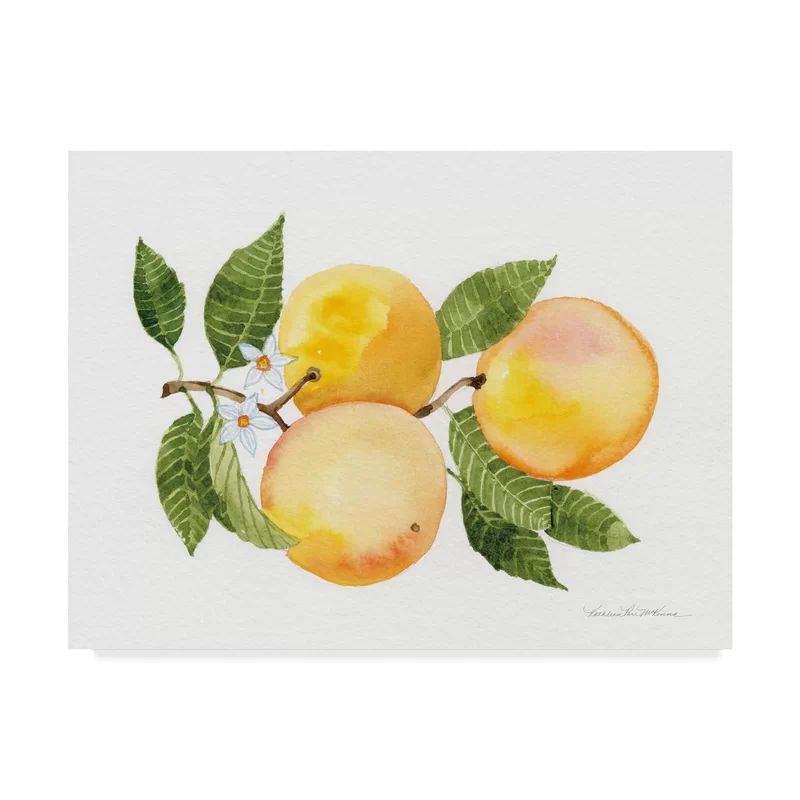 'Citrus Garden III' Graphic Art Print on Wrapped Canvas | Wayfair North America